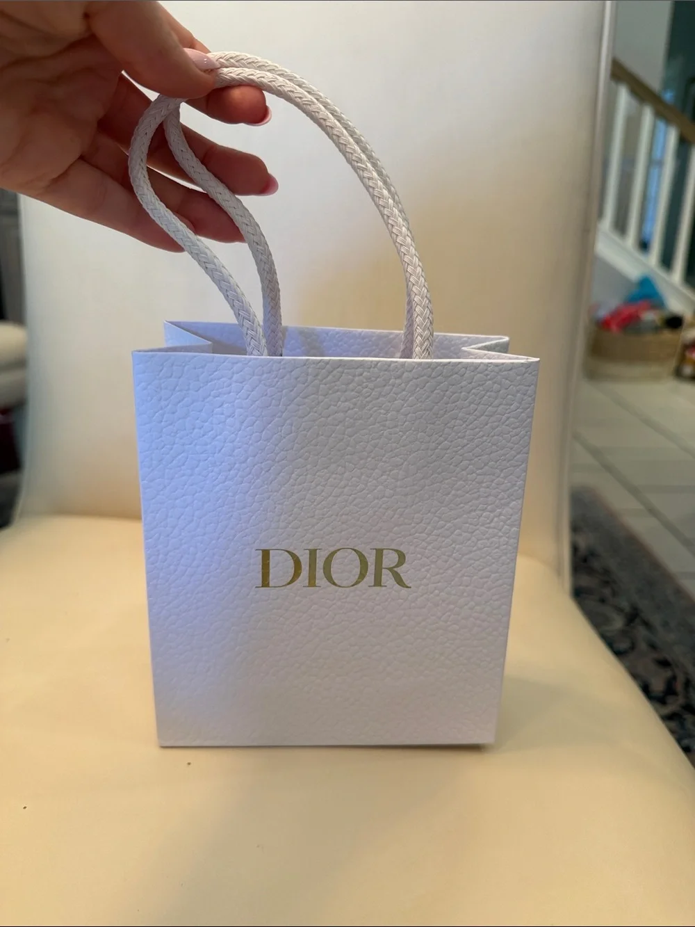 Dior jewelry bag